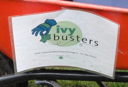 1 Ivy Busters.jpg