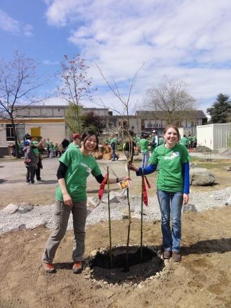 4 planting tree2.jpg