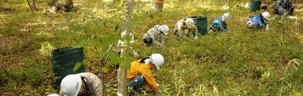 「みどりのまちづくり」による地域の活性化を目指す 里山の風景づくり