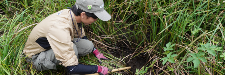 生物多様性 コンサルティング