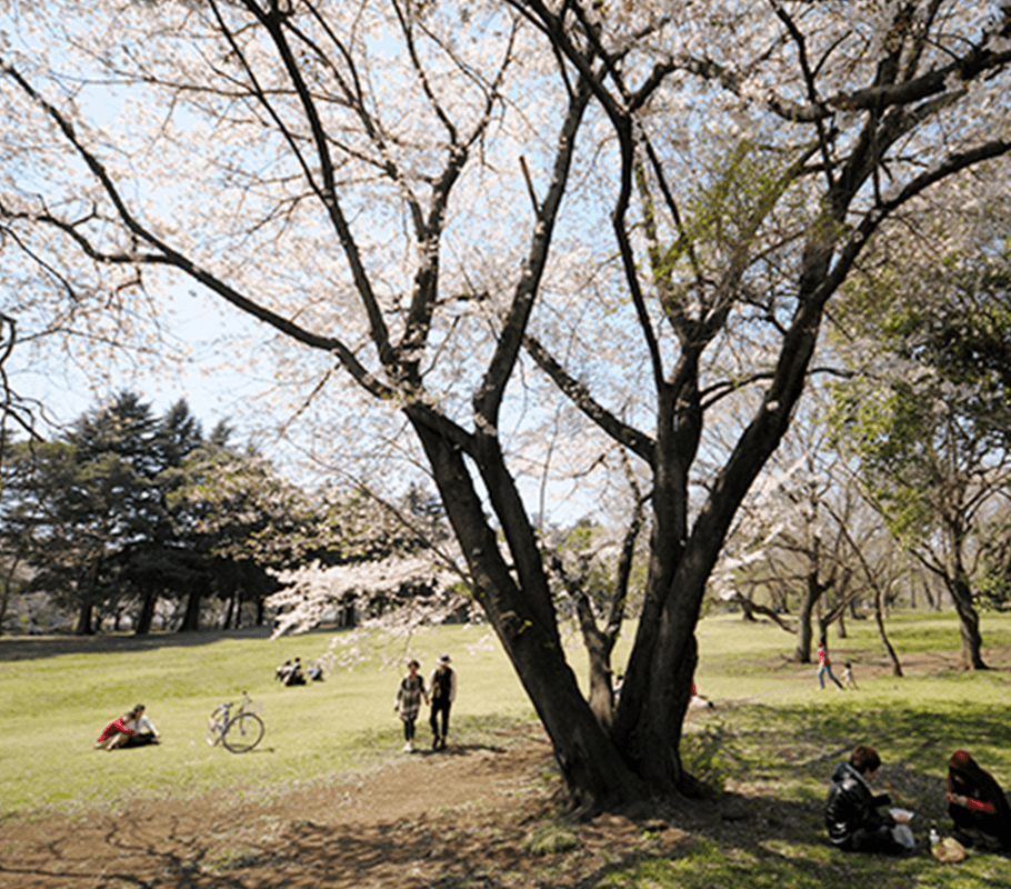 これからの公園に求められる「公園力」。