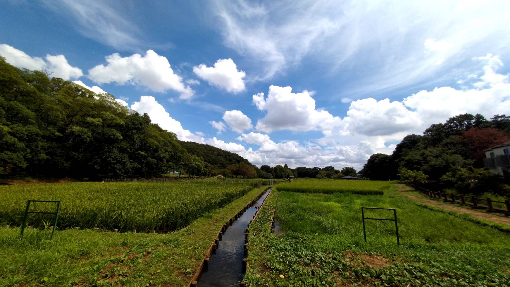 東村山市　北山公園