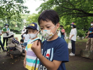 小平生きもの調査隊