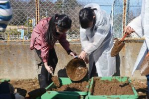 埋土種子の発芽実験