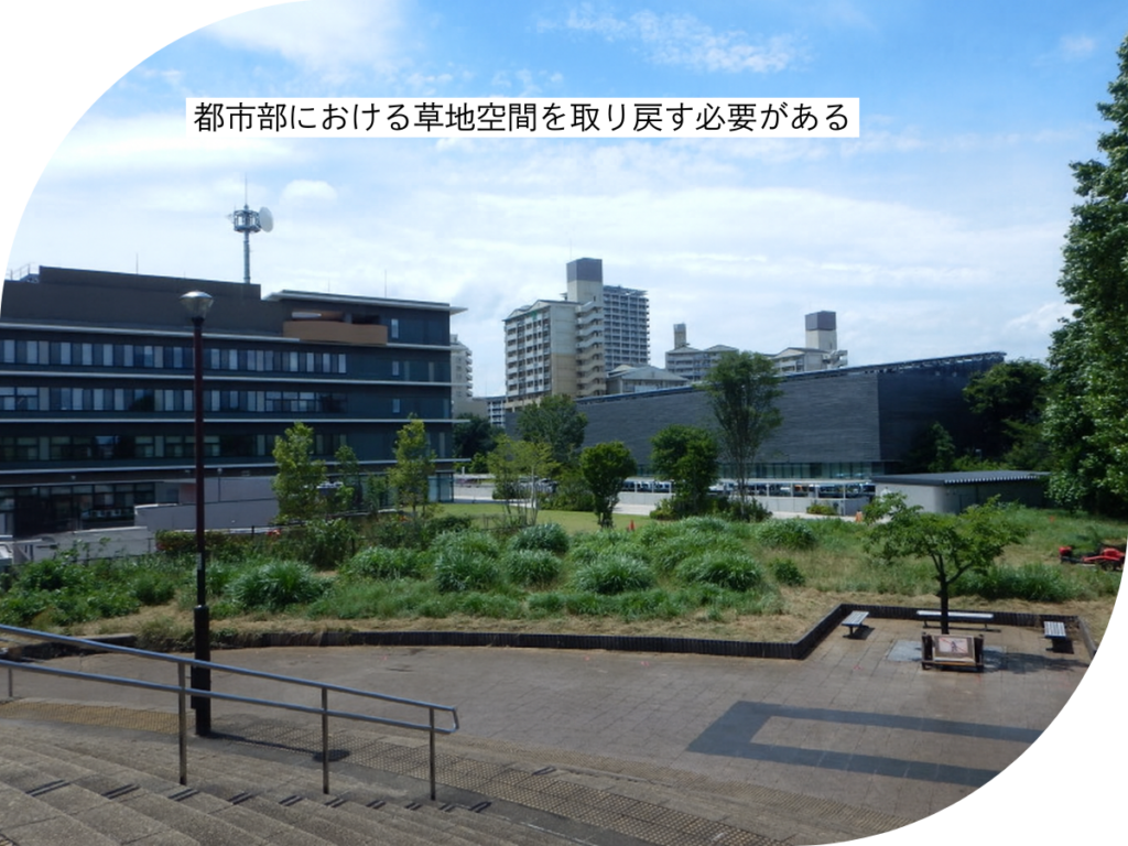 都市部における草地空間を取り戻す必要がある
