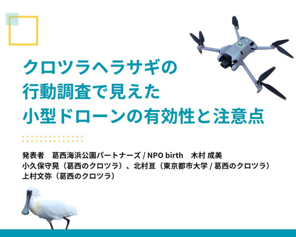クロツラヘラサギの行動調査で見えた小型ドローンの有効性と注意点