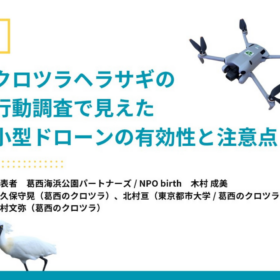 クロツラヘラサギの行動調査で見えた小型ドローンの有効性と注意点
