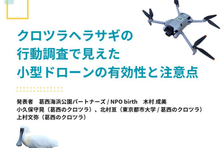 クロツラヘラサギの行動調査で見えた小型ドローンの有効性と注意点
