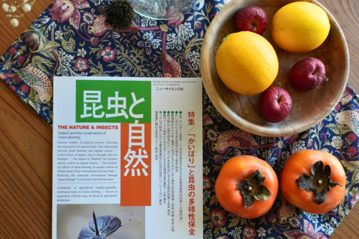 昆虫と自然 2025年12月号 特 集・「かいぼり」と昆虫の多様性保全