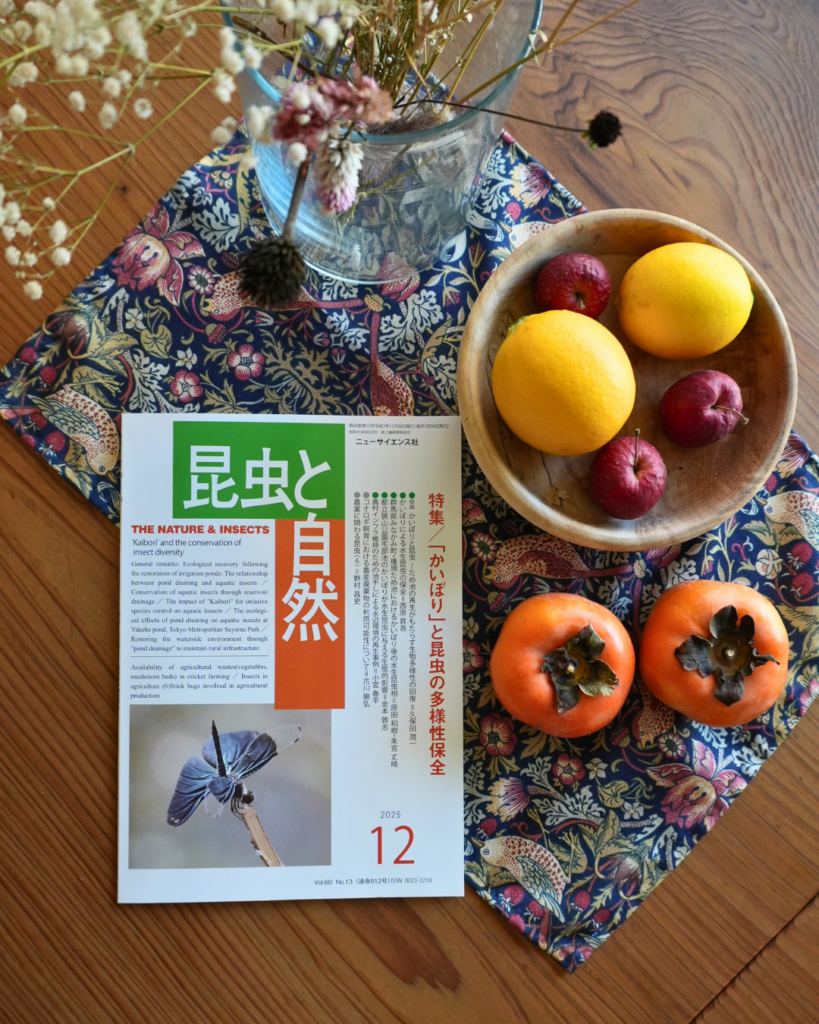 昆虫と自然 2025年12月号 特 集・「かいぼり」と昆虫の多様性保全
