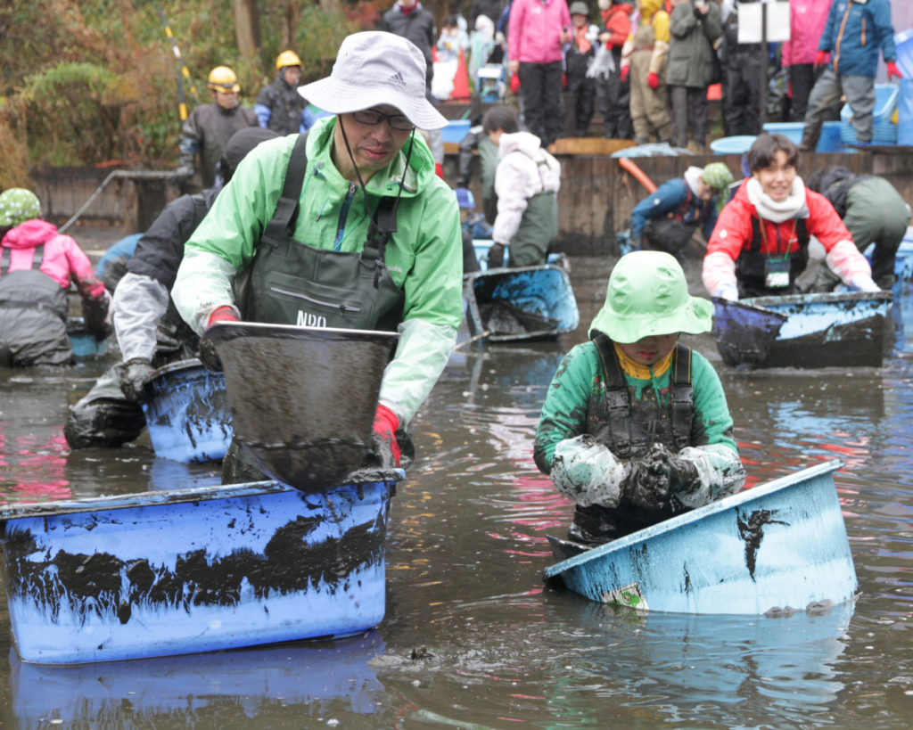 2025年12月国立科学博物館附属自然教育園での池の水抜きのようす