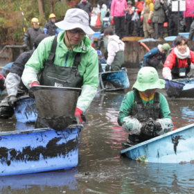 2025年12月国立科学博物館附属自然教育園での池の水抜きのようす