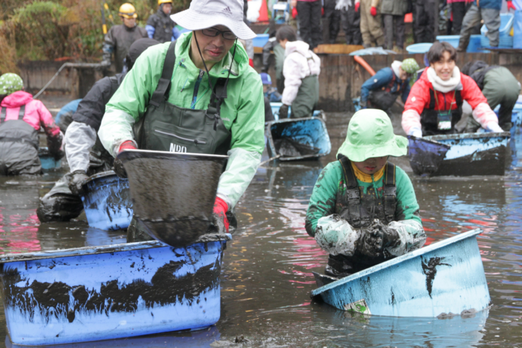 2025年12月国立科学博物館附属自然教育園での池の水抜きのようす