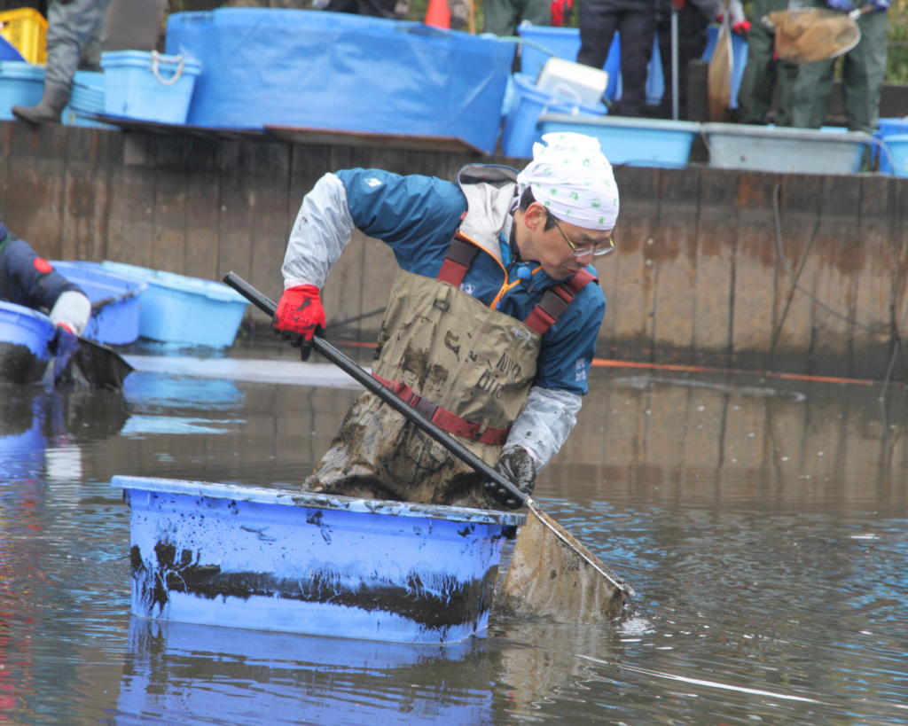 2025年12月国立科学博物館附属自然教育園での水生植物園生きもの調査のようす