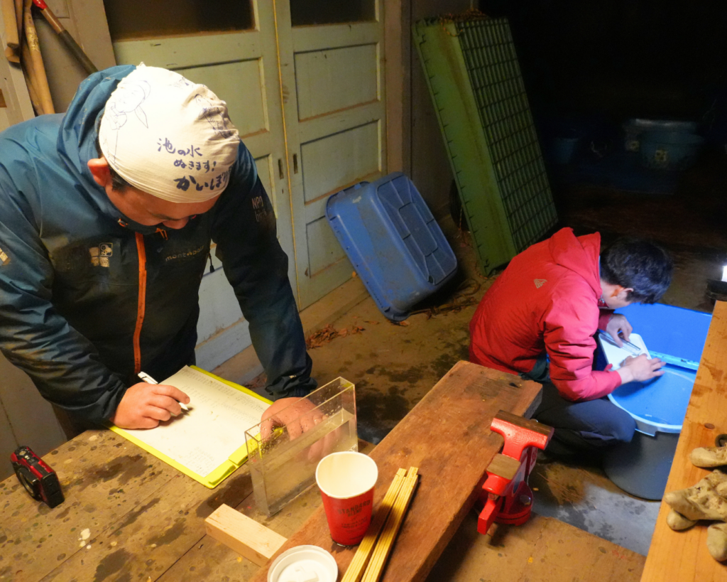 2025年12月国立科学博物館附属自然教育園でのかいぼりのようす