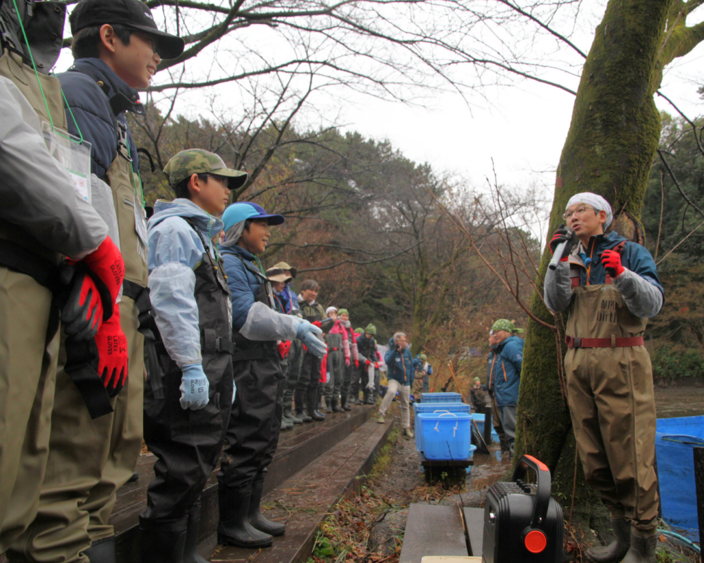 2025年12月国立科学博物館附属自然教育園でのかいぼりのようす