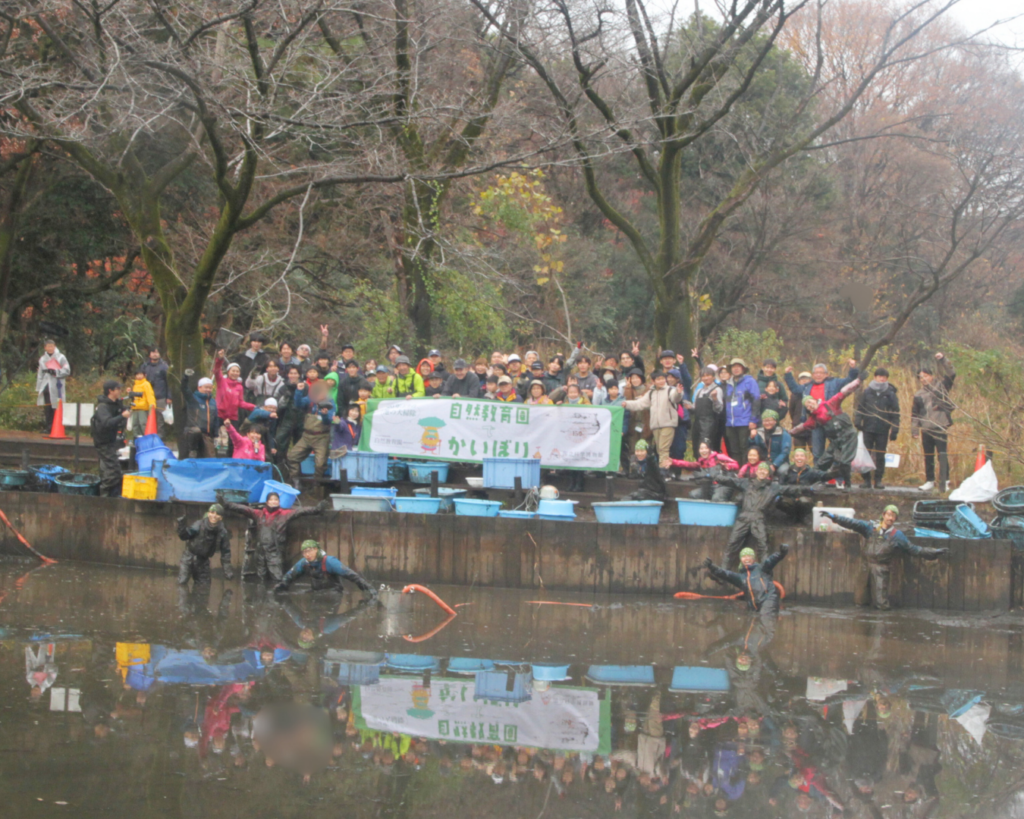 2025年12月国立科学博物館附属自然教育園でのかいぼりのようす