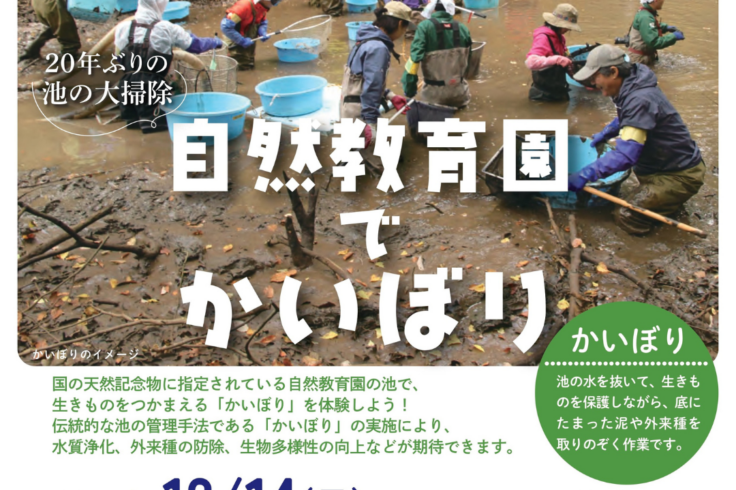 自然教育園 池沼の自然再生プロジェクト　参加者募集中！20年ぶりの池の大掃除　自然教育園でかいぼり