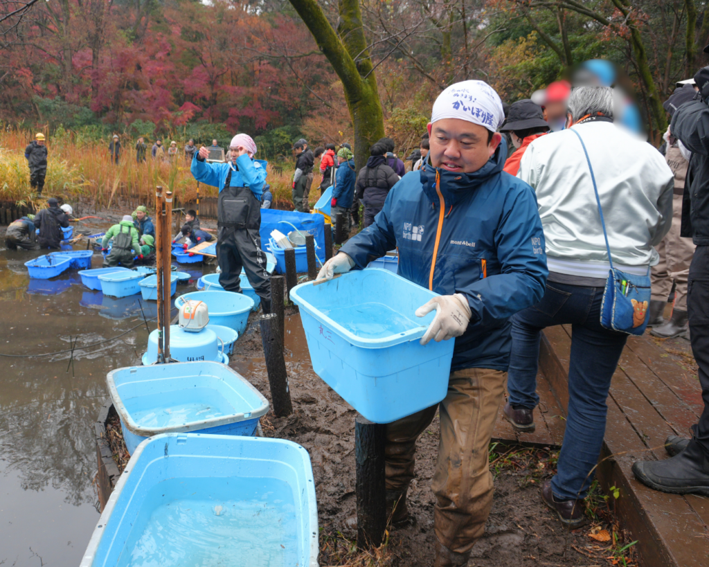 2025年12月国立科学博物館附属自然教育園でのかいぼりいきもの調査のようす
