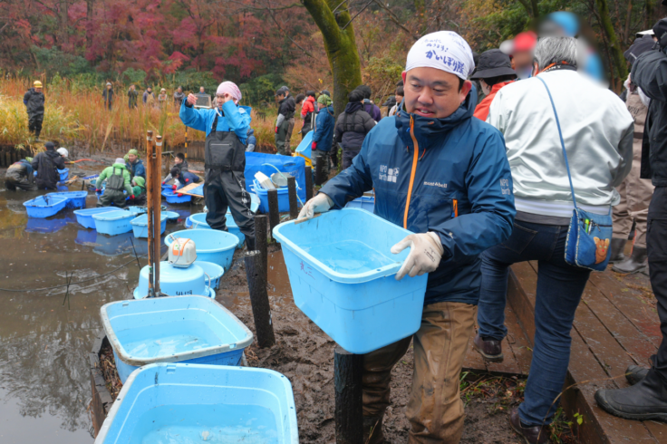 2025年12月国立科学博物館附属自然教育園でのかいぼりいきもの調査のようす