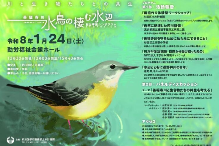 杉並区主催 善福寺川「水鳥の棲む水辺」創出事業シンポジウムのポスター・キセキレイ