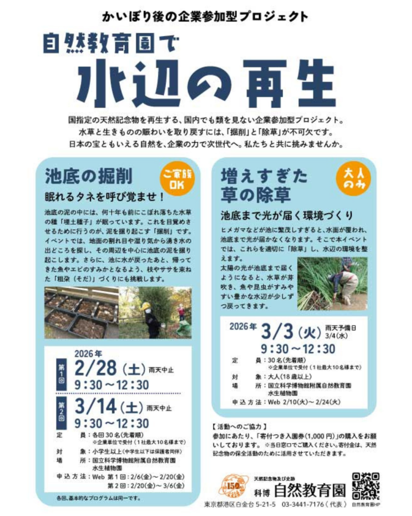 自然教育園 水辺の再生プロジェクト 企業参加型イベント