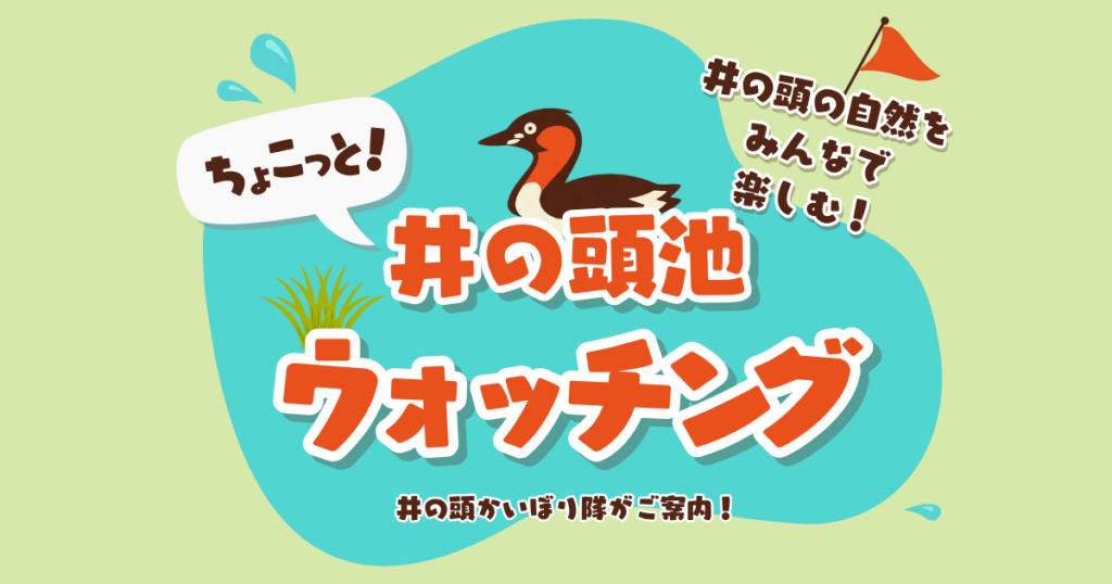 ちょこっと井の頭池ウォッチング