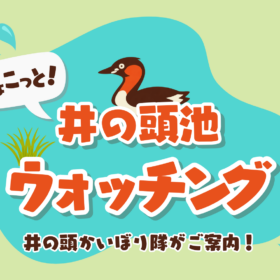 ちょこっと！井の頭池ウォッチング