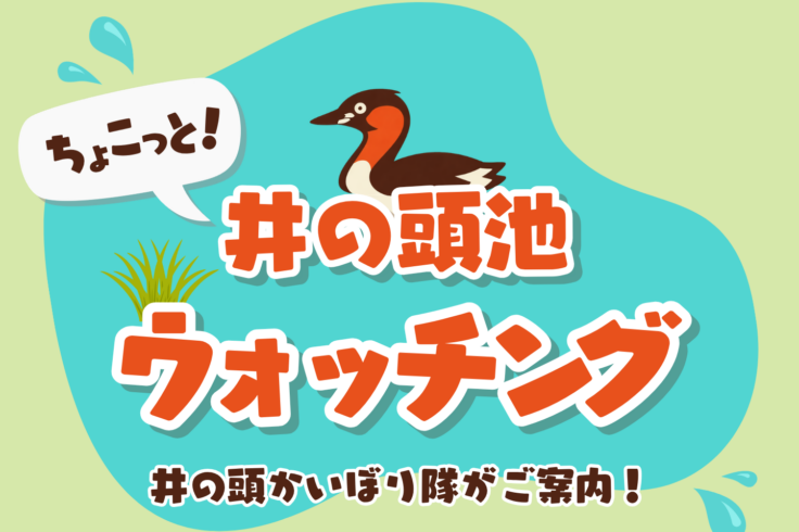ちょこっと！井の頭池ウォッチング