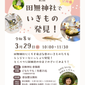 田無神社ビオトープ講座 NPObirth木村レンジャー