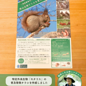 NPO birthの山田レンジャーがパークレンジャーの知見を活かして制作・デザインした狭山丘陵における「キタリス」の普及啓発チラシ