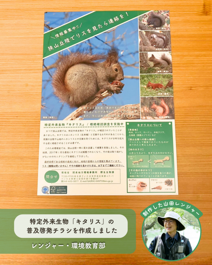 NPO birthの山田レンジャーがパークレンジャーの知見を活かして制作・デザインした狭山丘陵における「キタリス」の普及啓発チラシ