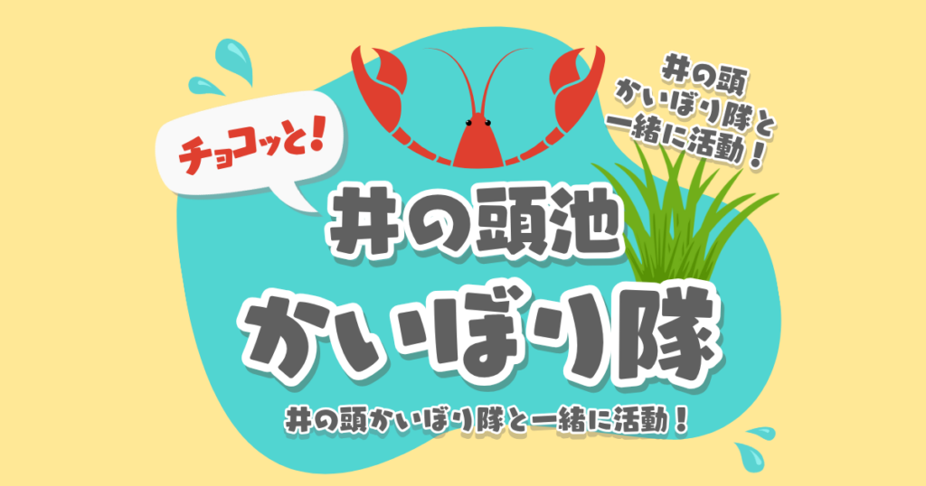 2026年度 チョコっと井の頭池かいぼり隊　実施情報