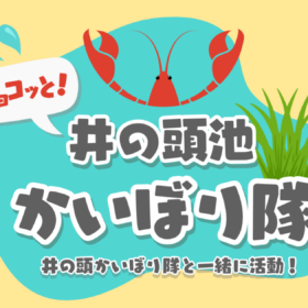 チョコっと！井の頭池かいぼり隊 実施情報