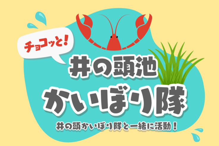 チョコっと！井の頭池かいぼり隊 実施情報
