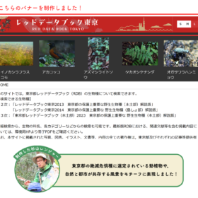 東京都環境局より依頼を受け、NPObirthのパークレンジャーが作成したレッドデータブック東京 （RED DATA BOOK TOKYO） 検索サイト」のバナー