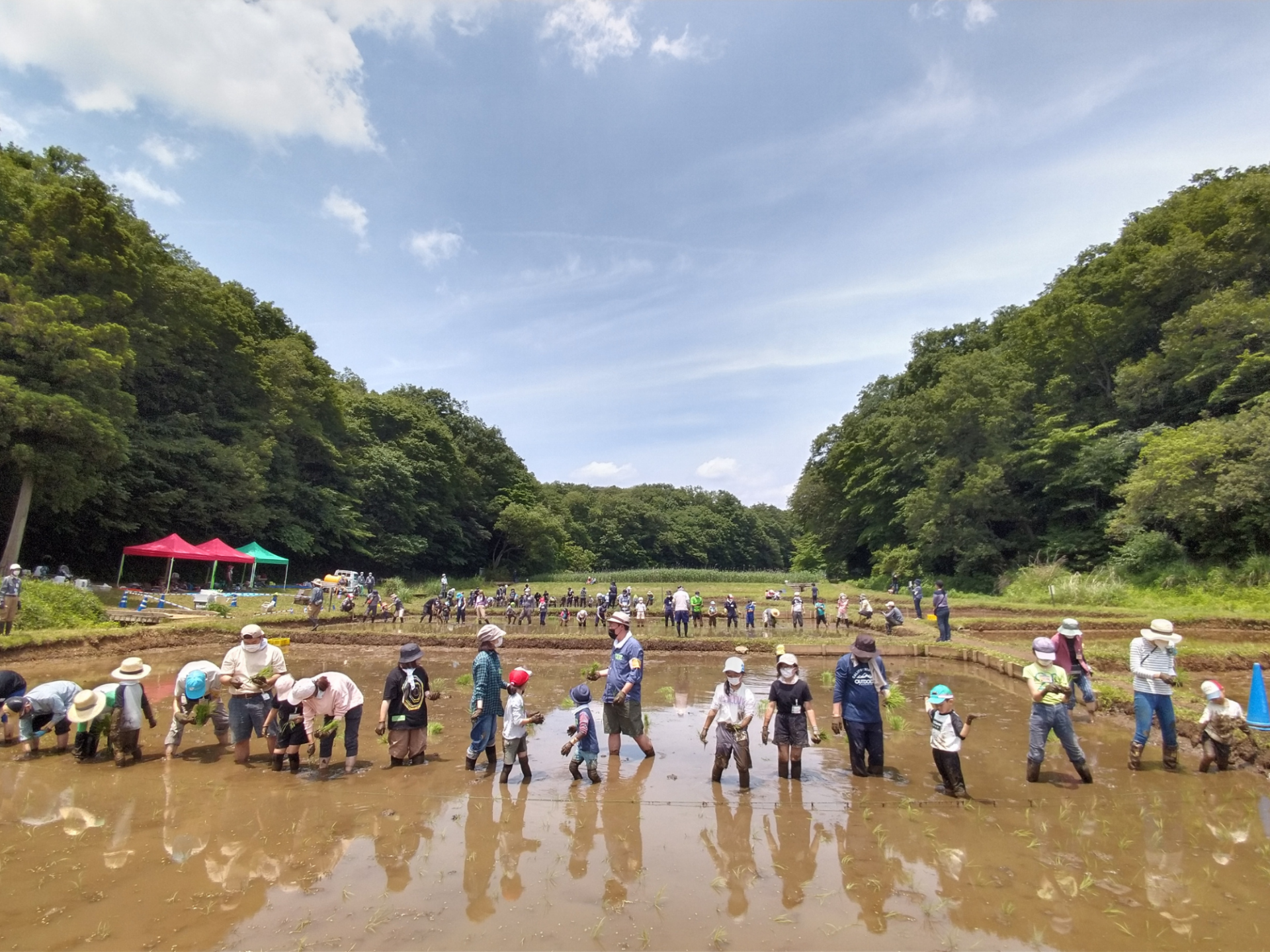 地域社会に関わる人々が協働で地域全体の持続性を図っている様子：田植え
