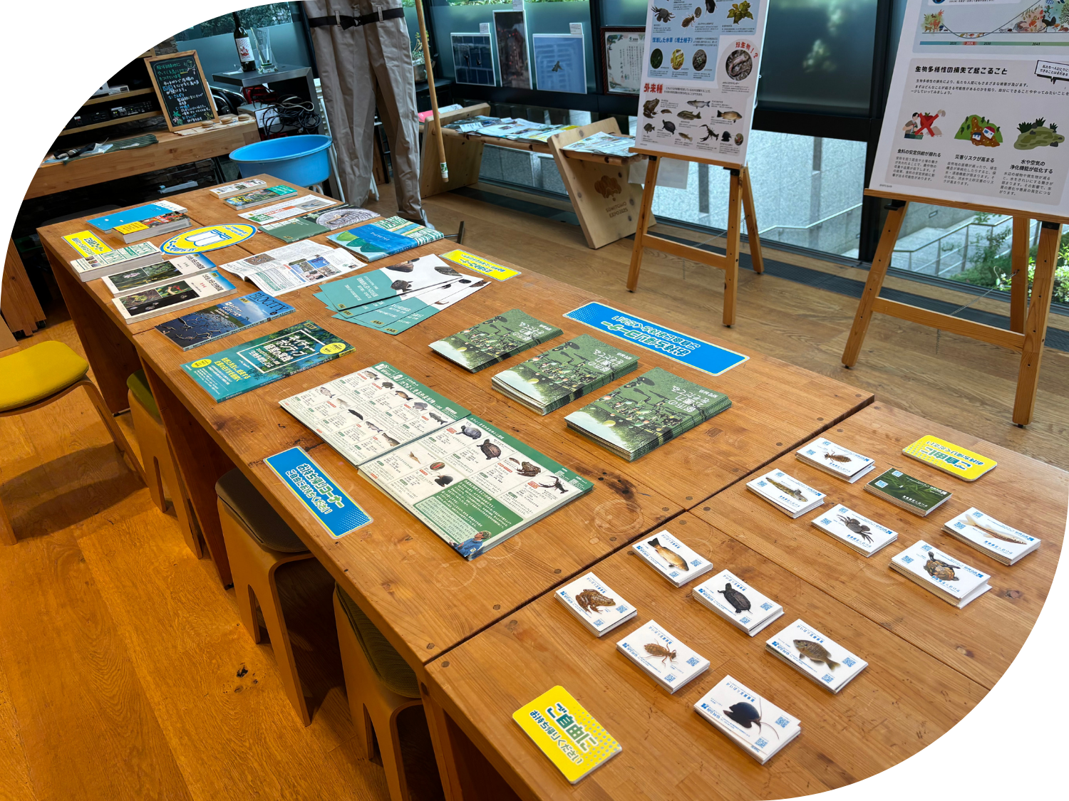 NPO birth「池の水100回抜いてわかったこと」展示風景　配布物